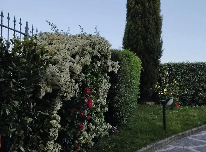 Feriehus Melody House - Dependance