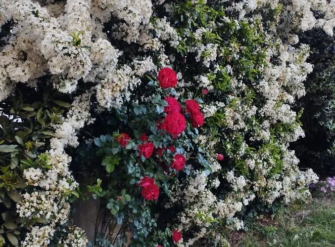 Melody House - Dependance * Castel del Bosco (Pisa)